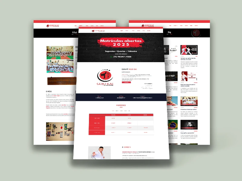 Projeto de Site Performance e SEO, Sistema de Gestão, Gestão e criação de conteúdo para instagram do Karatê Gojo Kai realizado pela Hammer Web